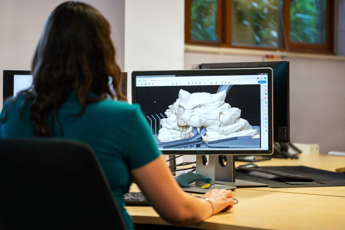 3D models